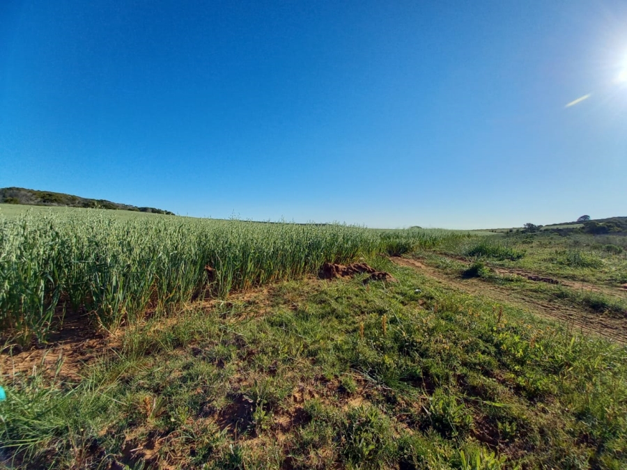  Bedroom Property for Sale in Riversdale Rural Western Cape